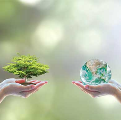 Green Cleaning